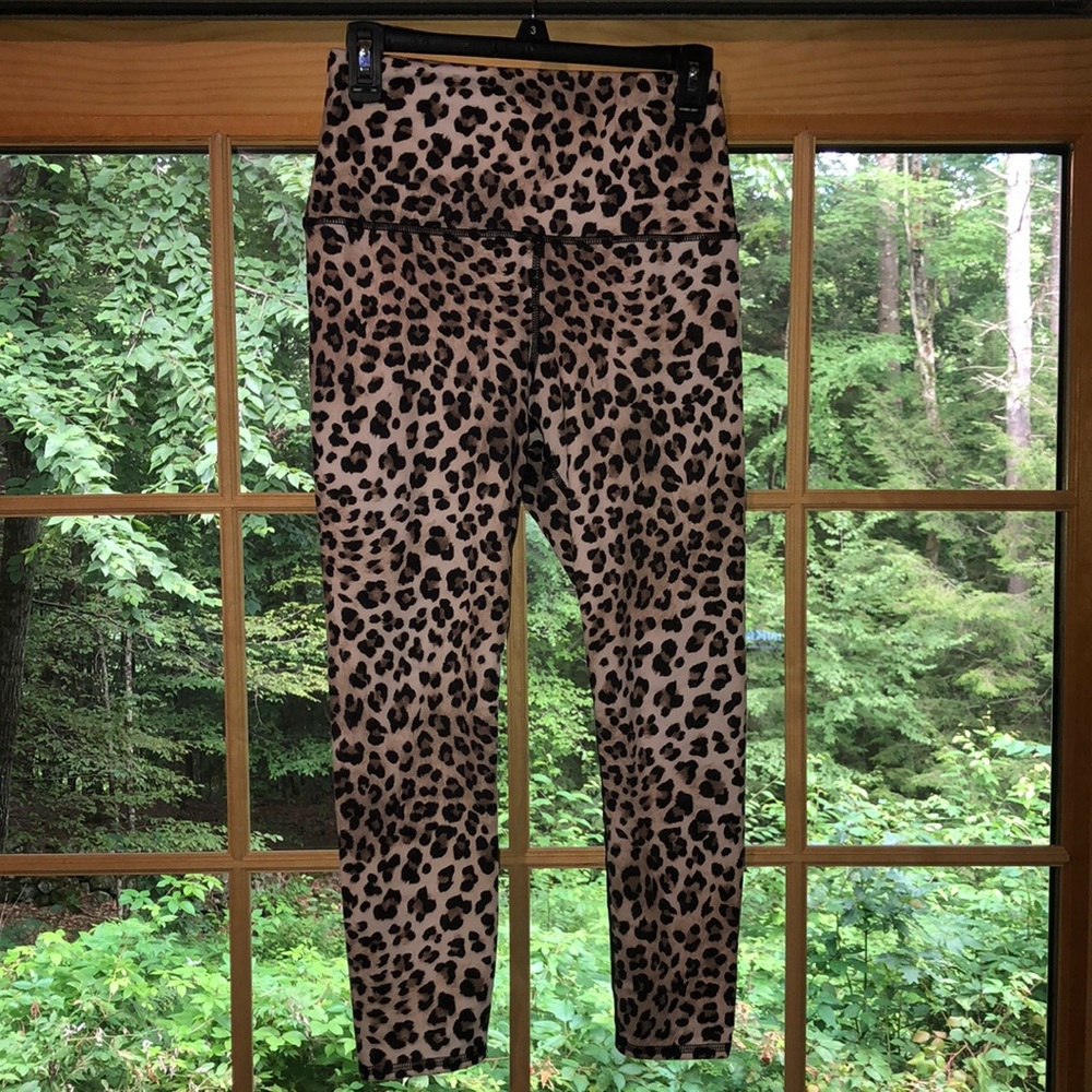 Evolution and Creation Leggings